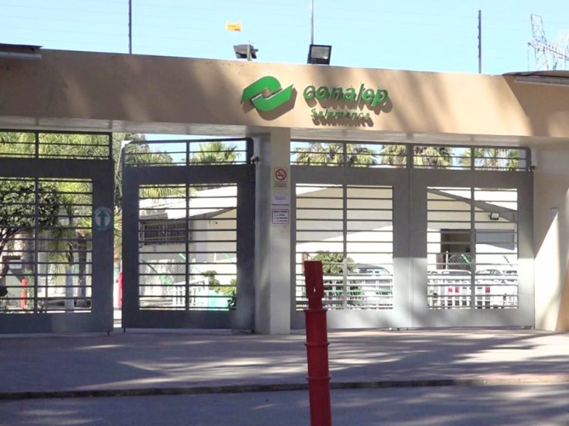 Privan de la libertad a estudiante cerca del Conalep Salamanca; hombres armados lo interceptaron