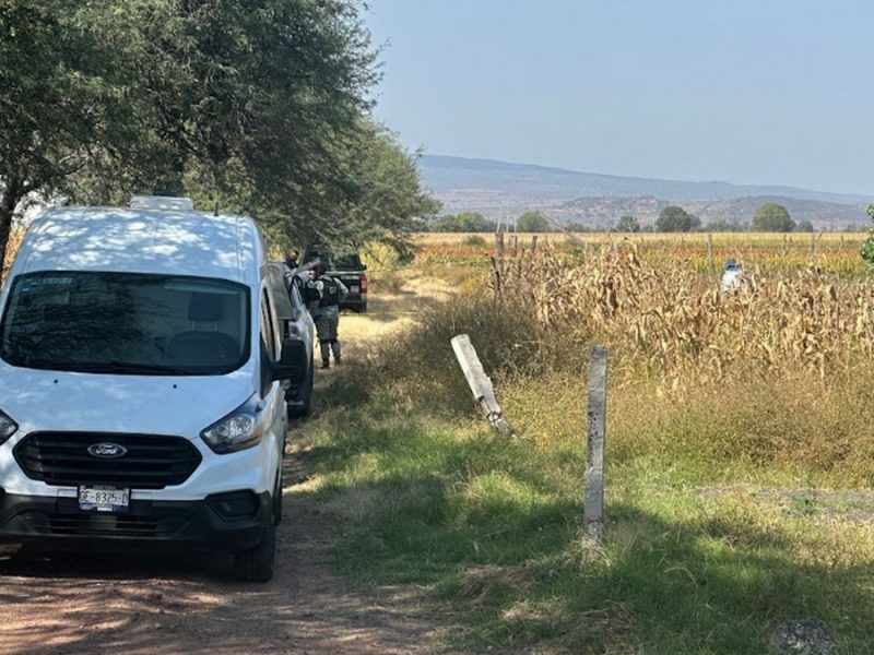 Localizan colectivos de búsqueda restos óseos entre basura y hierba en León
