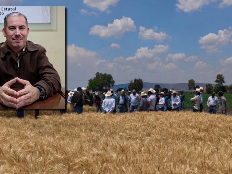 Sader Guanajuato prepara relevo de Justino Arriaga Rojas entre reclamos de productores agrícolas