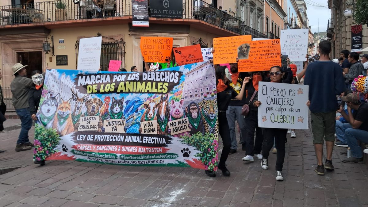 Marchan en Guanajuato contra maltrato animal y señalan a Samantha Smith ante Derechos Humanos