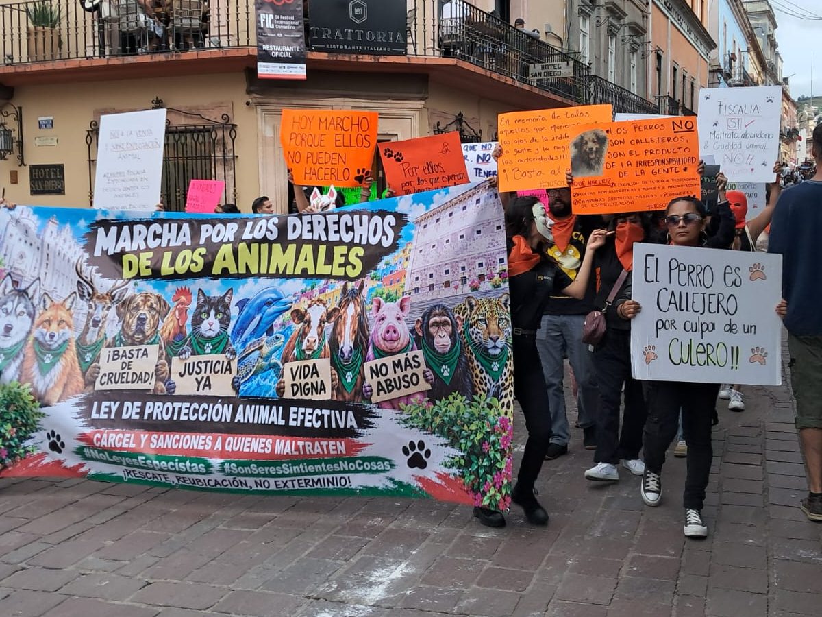 Protestan en Guanajuato capital por maltrato animal y denuncian a Samantha Smith ante Derechos Humanos