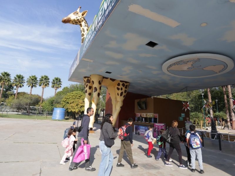 Trabajan en reestructura de medicina preventiva en Zoo de León tras muertes de ejemplares