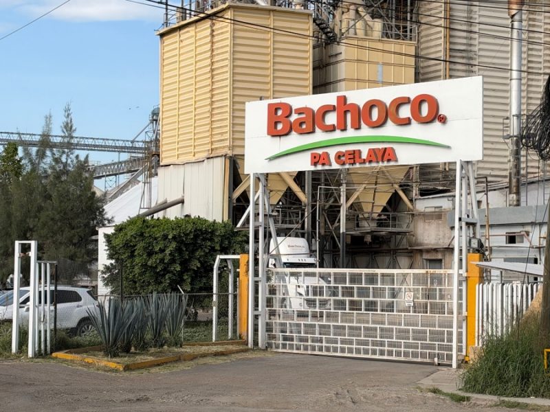 Tragedia en Bachoco Celaya: Se ahoga trabajador al caer a tolva de sorgo molido