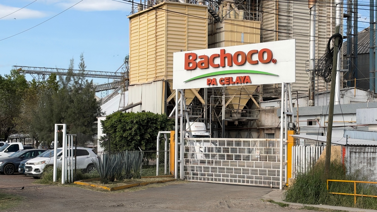 accidente laboral Bachoco Celaya