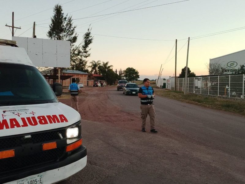 Ataque de abejas deja hombre muerto en Pénjamo; quiso quitar enjambre de tejado