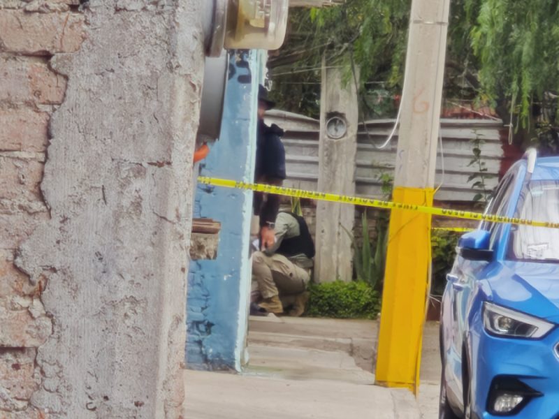 Le disparan en la cabeza: Asesinan a hombre en Celaya, su perro intentó defenderlo y también lo mataron