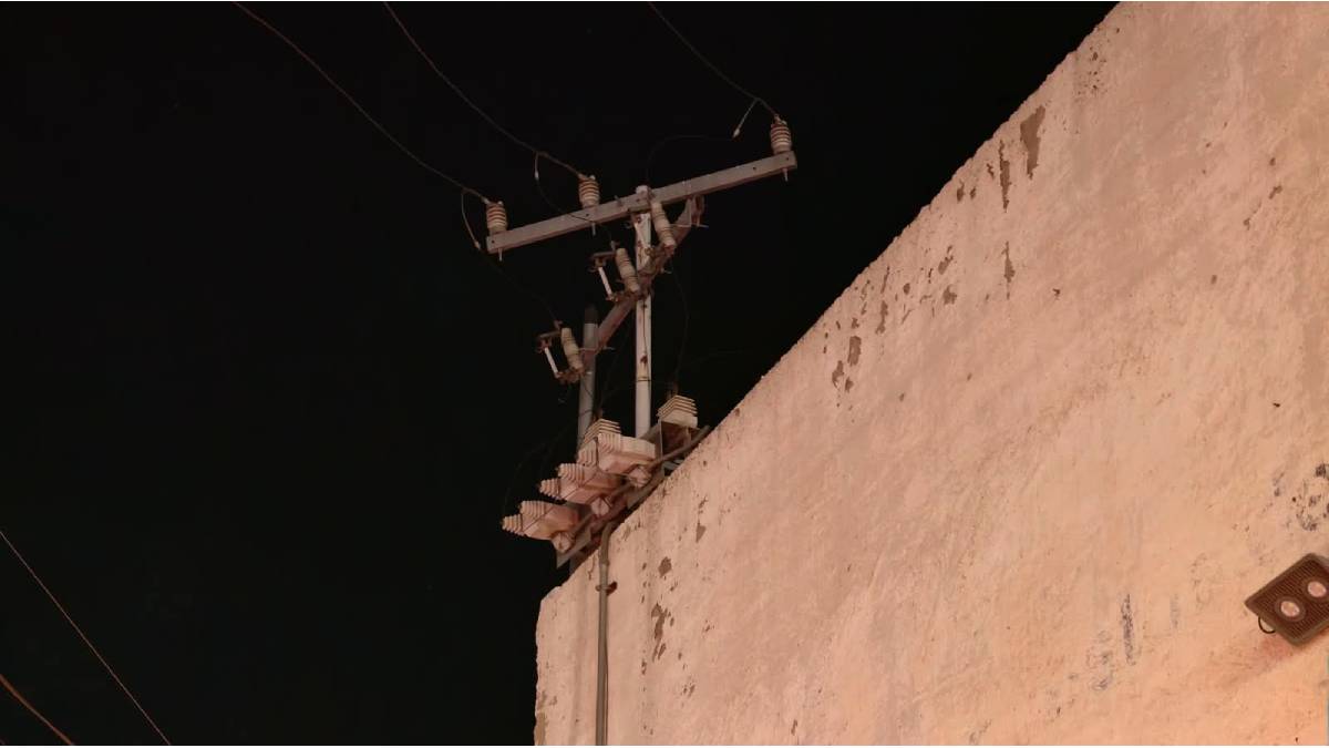 electrocutado-leon