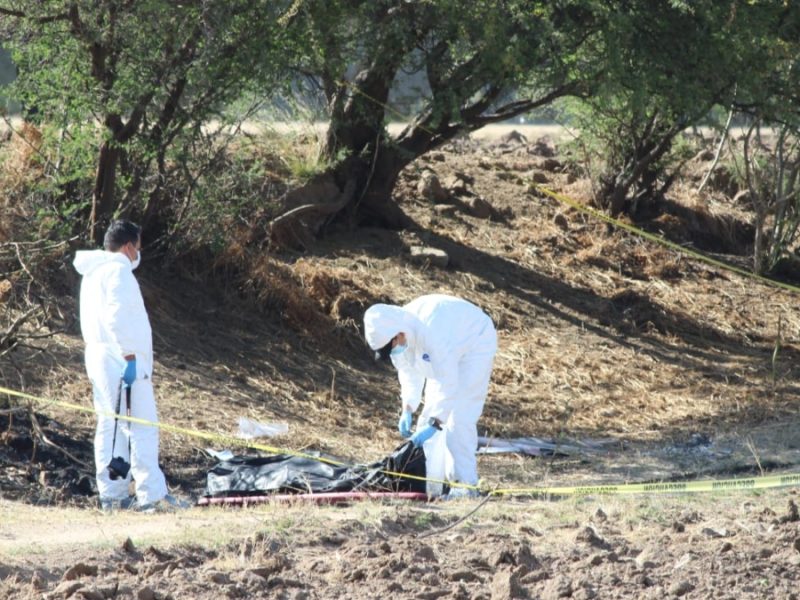 Madres buscadoras de León hallan huesos humanos en comunidad de Barretos