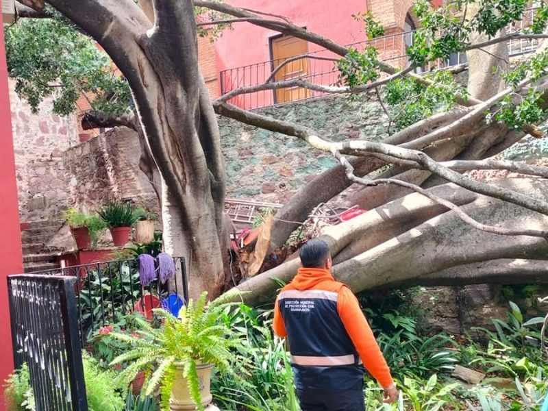 Fallas en suministro de agua en Guanajuato capital: Fuertes vientos afectan sistemas de bombeo