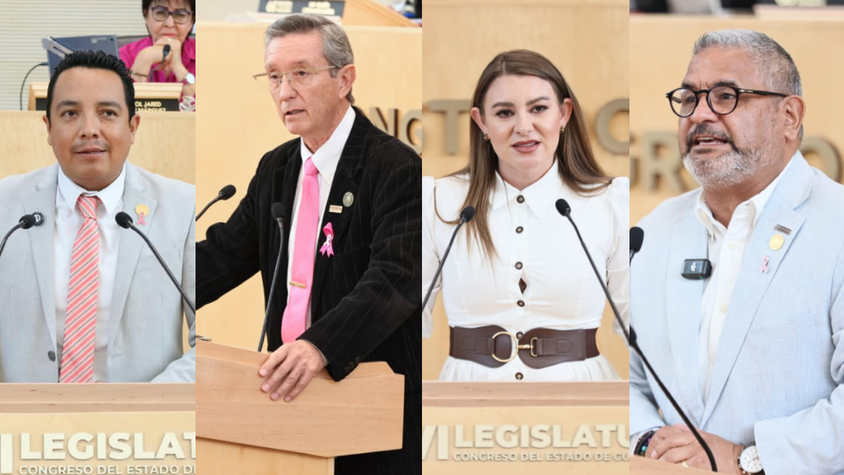 Diputados Morena Guanajuato candidaturas