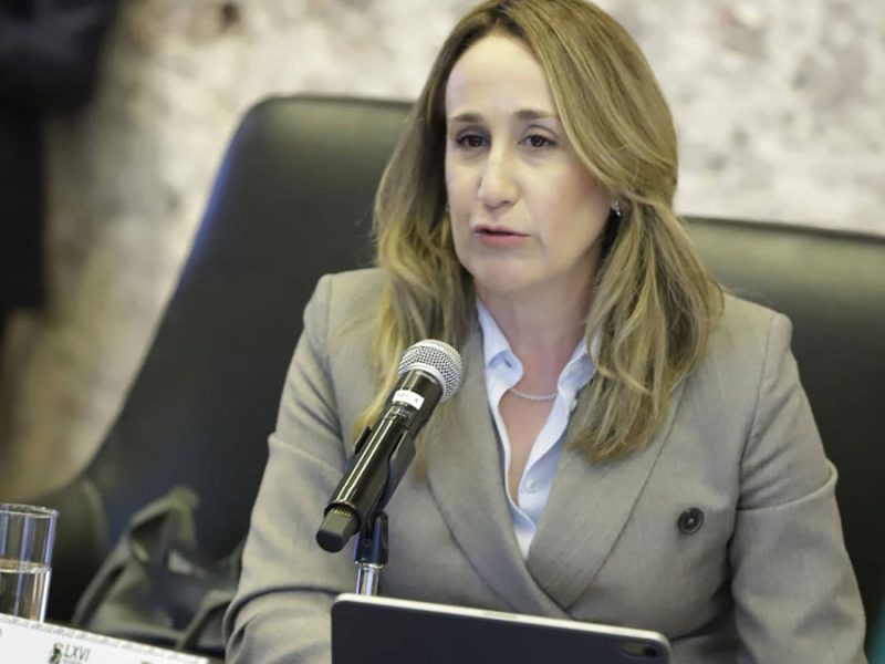 Reprocha Partido Verde a Libia García cuestionar a dirigentes que impugnaron acuerdo de paridad