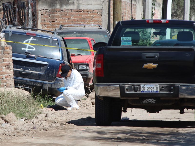 León: Vecinos de la colonia Providencia hallan feto dentro de bolsa que llevaba un perro