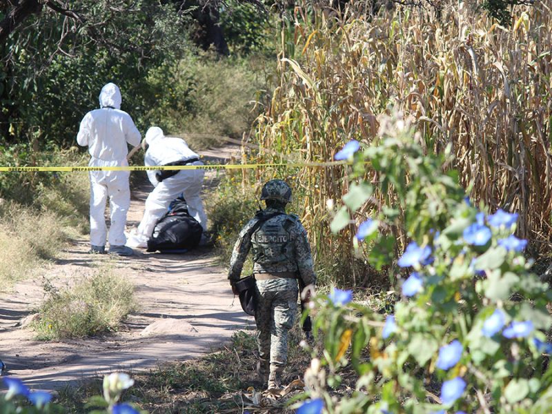 León: Hallan hombre sin vida con huellas de violencia cerca de La Sardaneta
