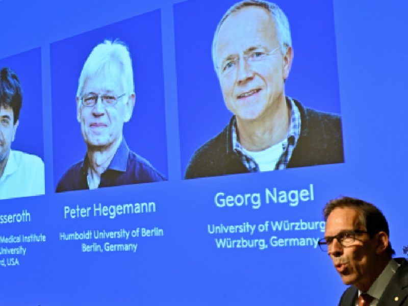 Premio Nobel de Medicina para tres científicos por revolucionar el estudio del cerebro