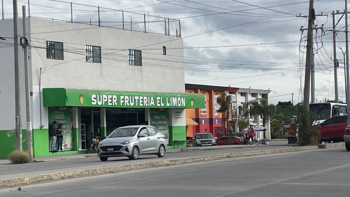 secuestro Irapuato